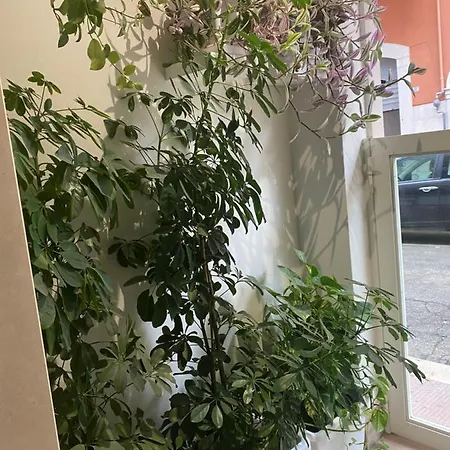 Lejlighed Garden Boutique *