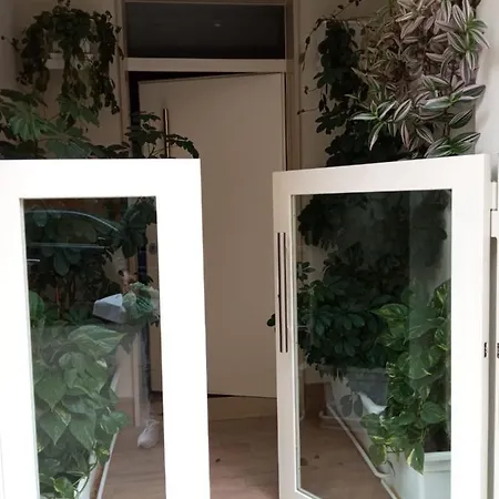 Garden Boutique * Andria